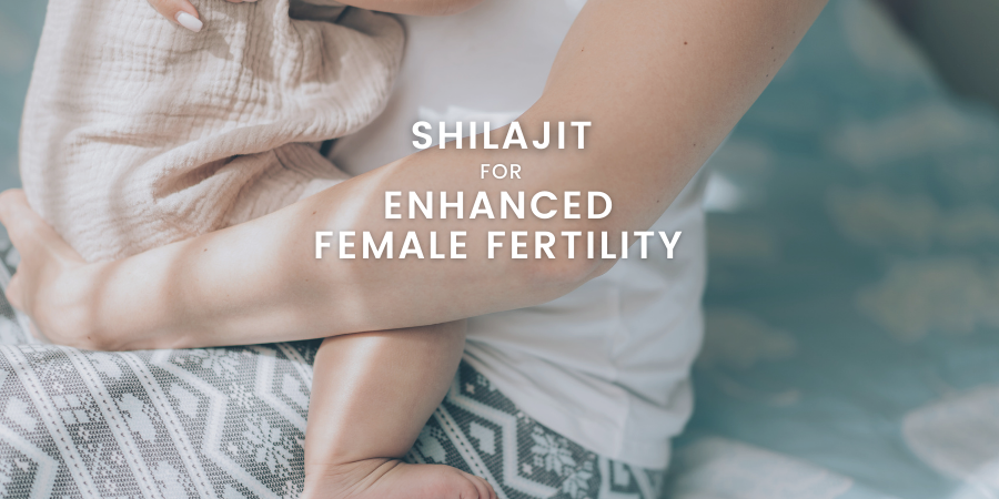 4 Key Insights on How Shilajit Supports Female Fertility