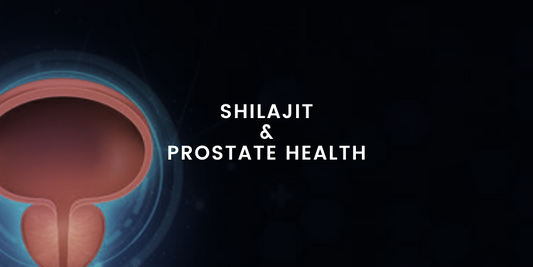 Exploring the Link Between Shilajit and Prostate Health (100% Verified Information)