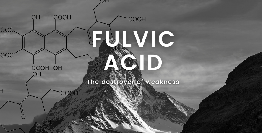 5 Surprising Benefits of Shilajit Fulvic Acid You Need to Know