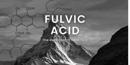 5 Surprising Benefits of Shilajit Fulvic Acid You Need to Know