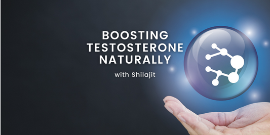 The Power of Shilajit: Boosting Testosterone Naturally