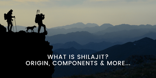 What is shilajit? Origin, Its Compnents and Uses